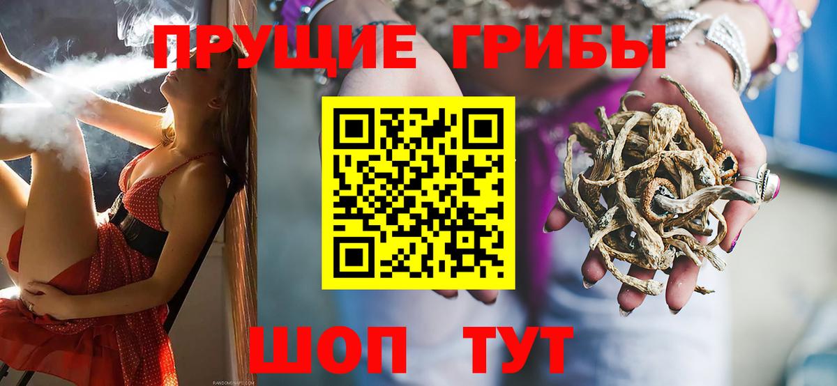 сколько стоит  Вход с VPN  Воронеж  Псилоцибиновые грибы GOLDEN TEACHER  Псилоцибиновые грибы мицелий 
