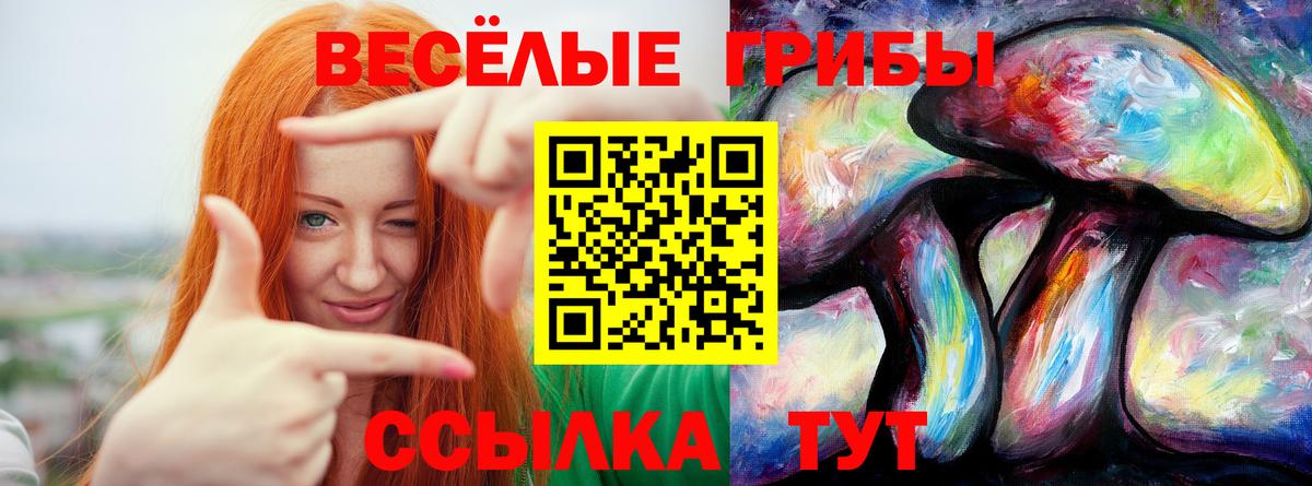 Галлюциногенные грибы Psilocybine cubensis Воронеж